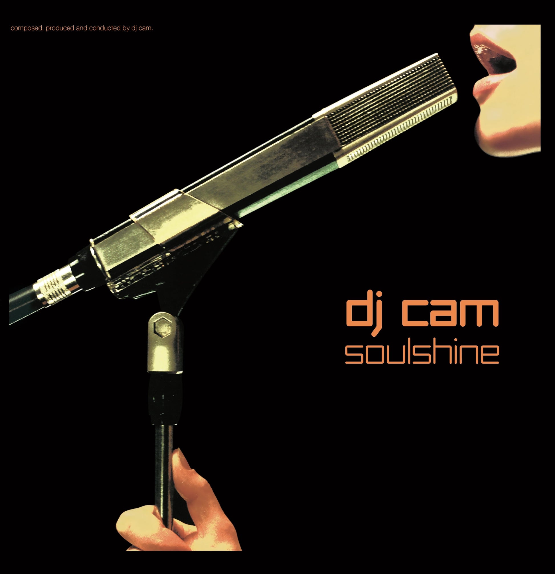 Soulshine Vinyl Record