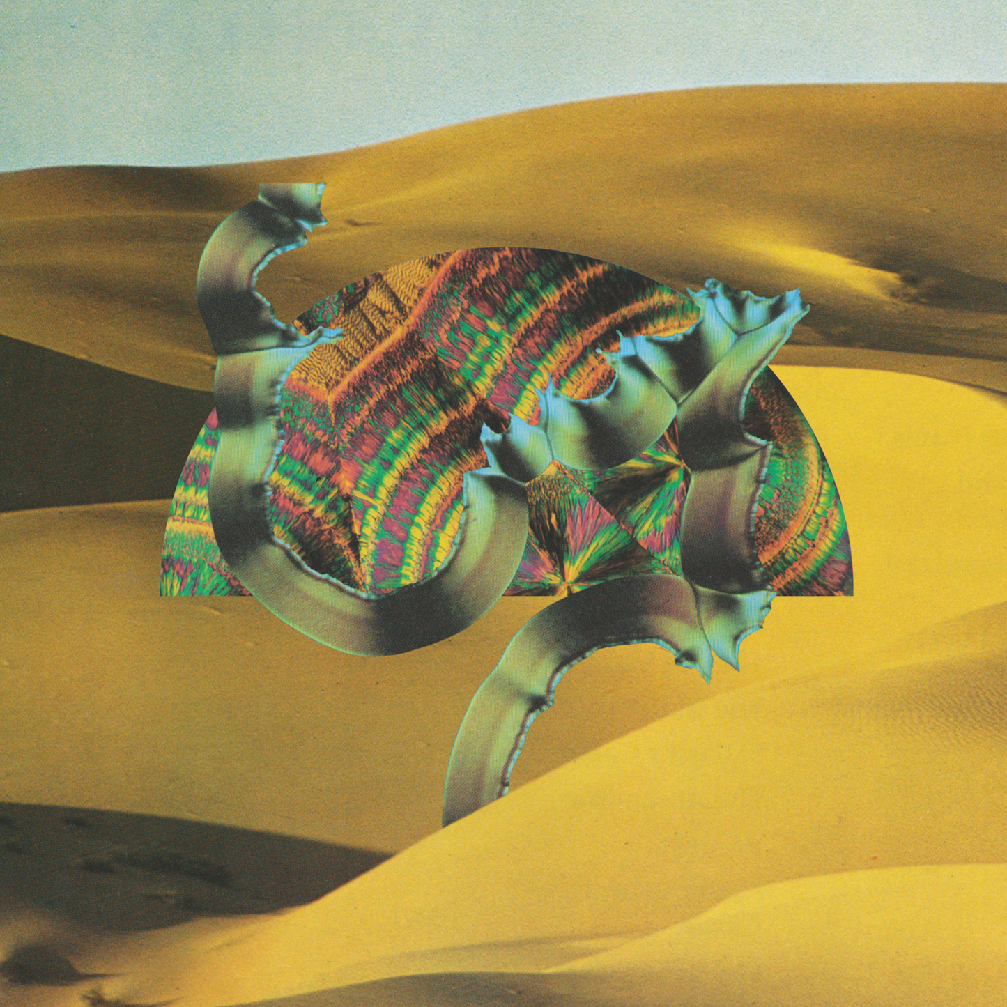 Django Django Vinyl Record