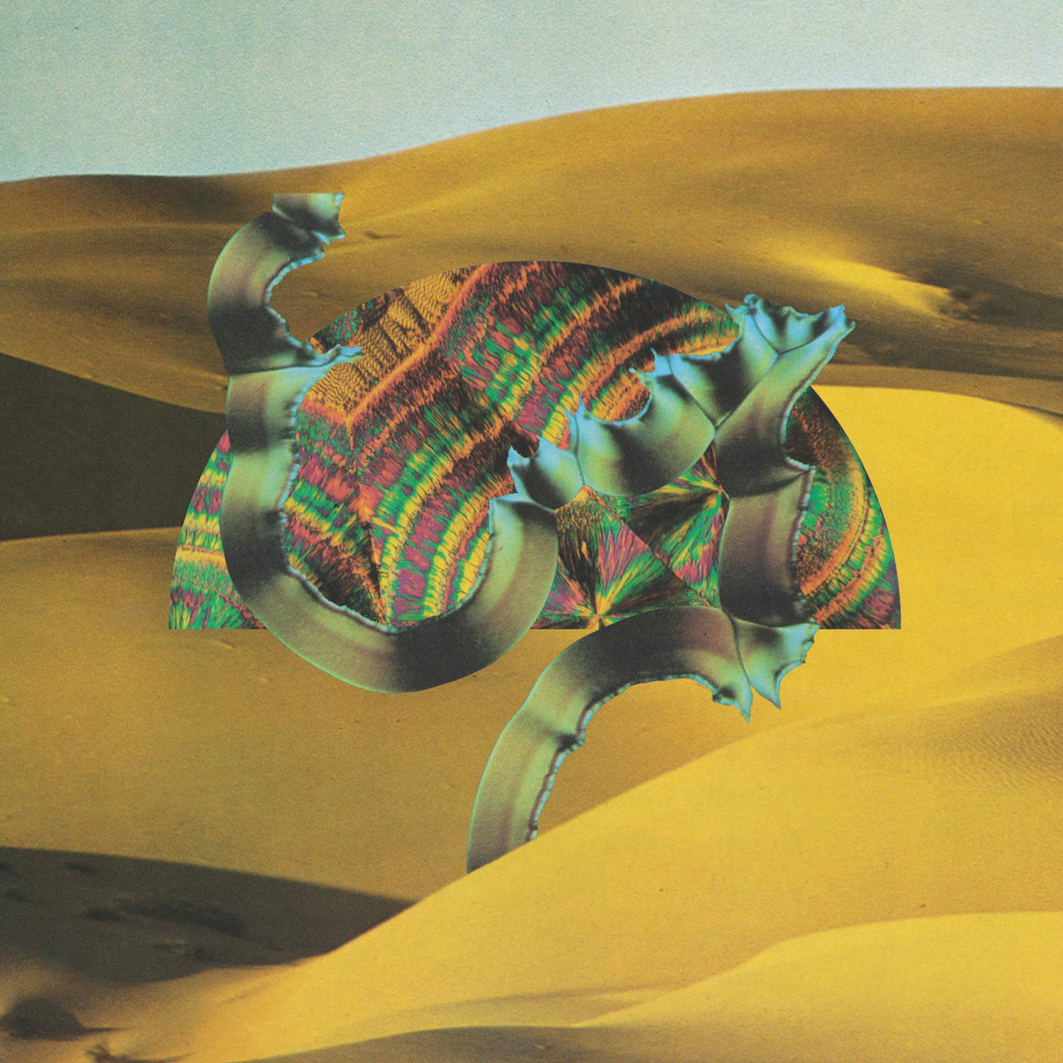Django Django Vinyl Record