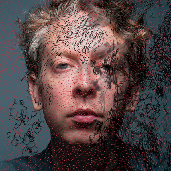 DM STITH - Pigeonheart Vinyl Record