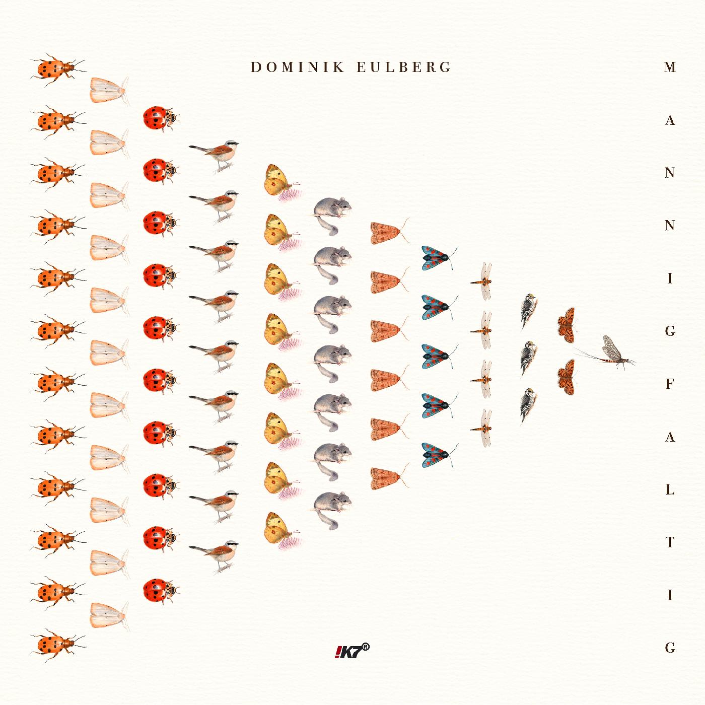 Dominik Eulberg - Mannigfaltig Vinyl Record