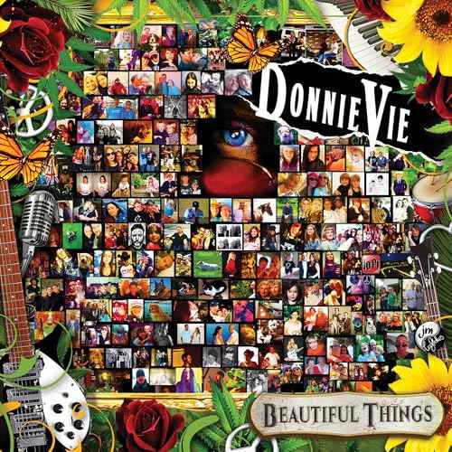 Donnie Vie - Beautiful Things [CD] Music CD