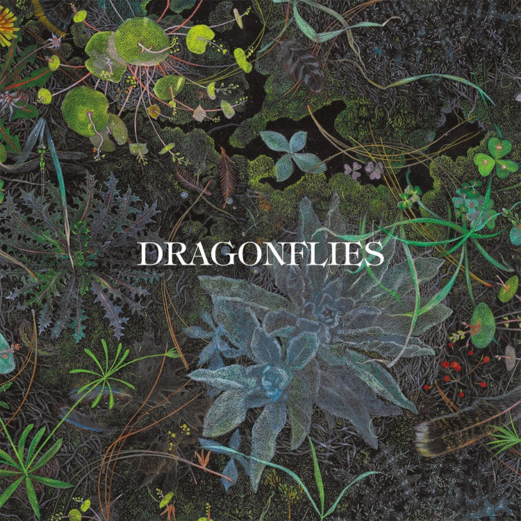 PRE-ORDER Dragonflies - Dragonflies [LP] [Vinyl] Vinyl Record