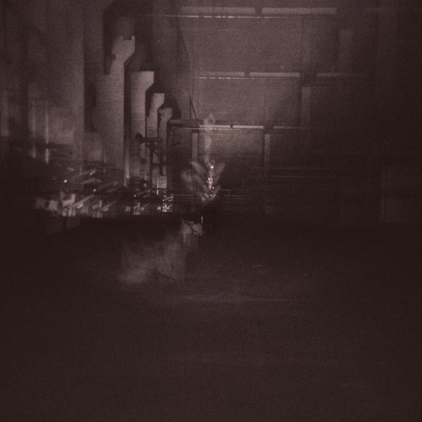 DUB TAYLOR - Caves & Cages Vinyl Record