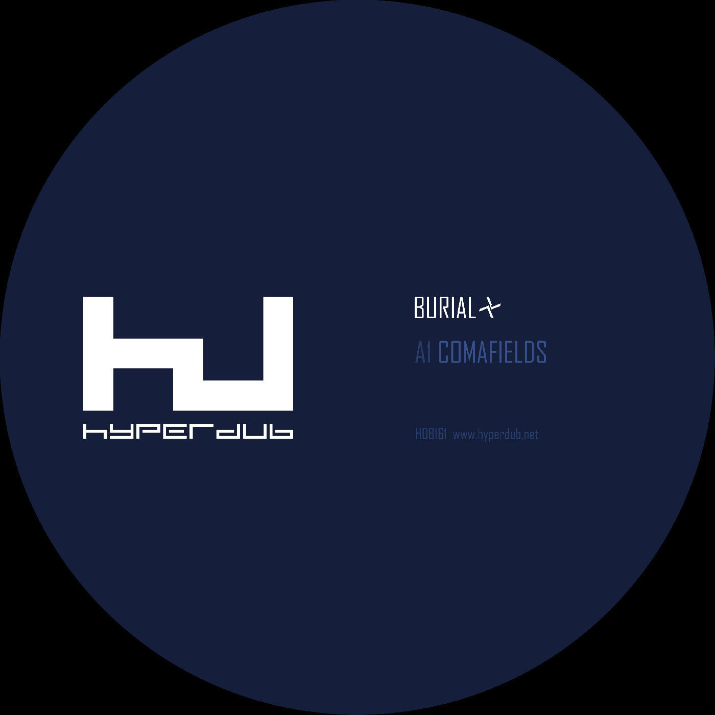 Comafields / Imaginary Festival  Vinyl Record