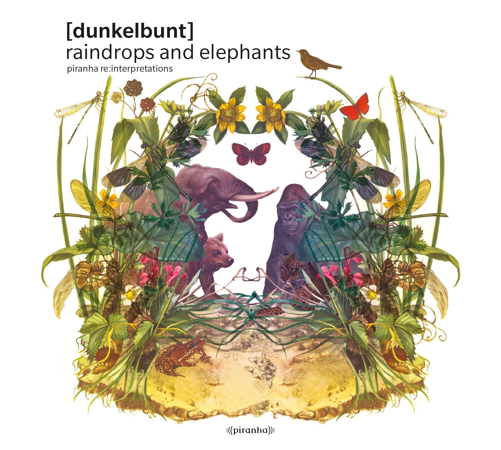 Raindrops and Elephants [Vinyl] Vinyl Record