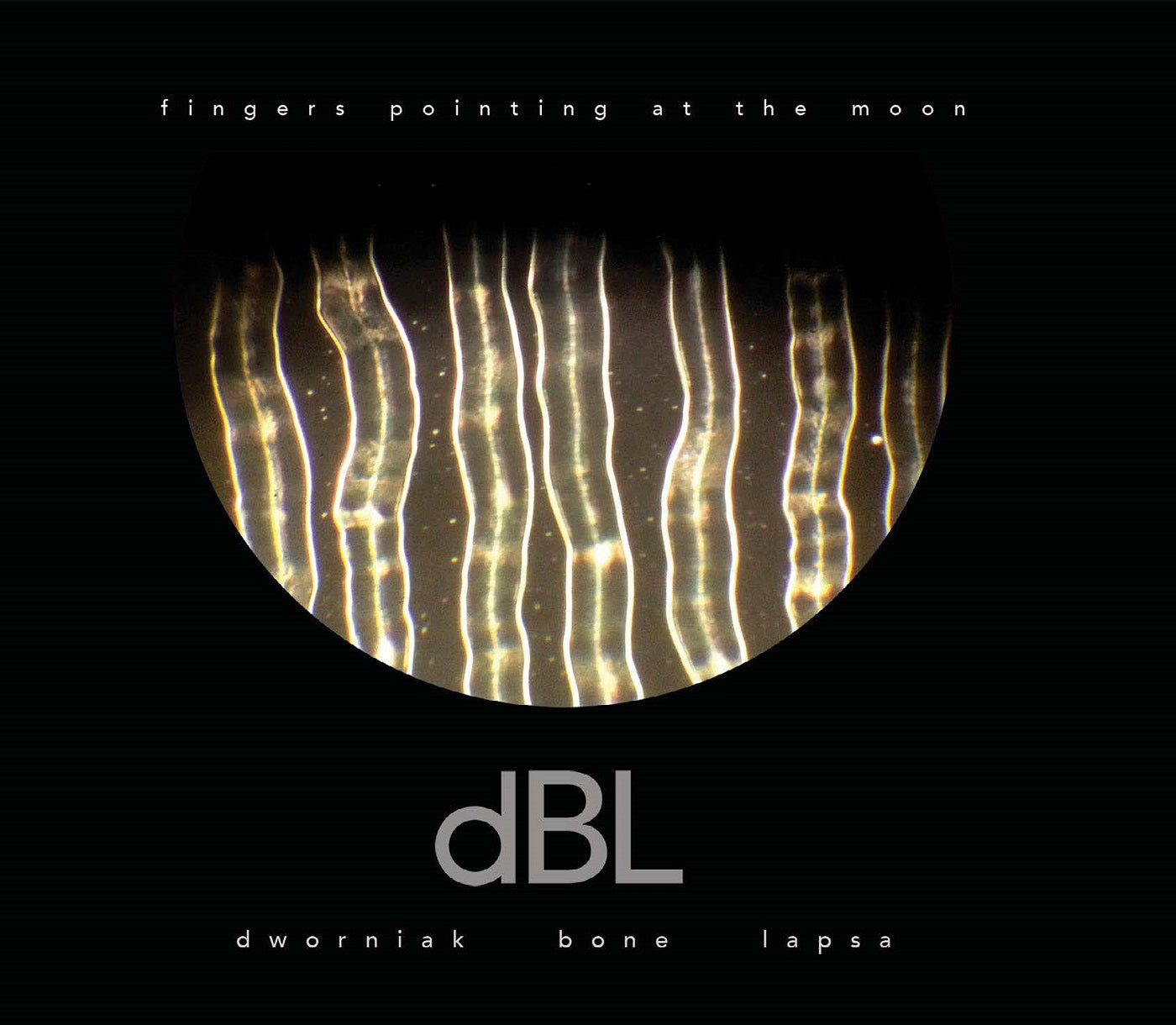 Dworniak Bone Lapsa - Fingers Pointing At The Moon Vinyl Record