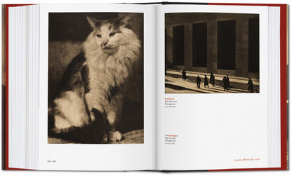 Alfred Stieglitz. Camera Work (German, French, English) Book