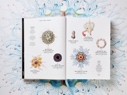 The Art and Science of Ernst Haeckel (German, French, English) Book