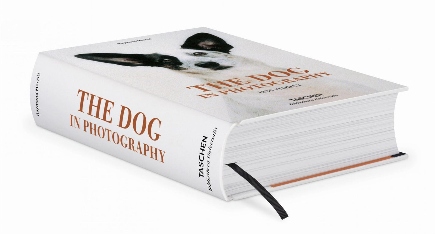 The Dog in Photography 1839–Today (German, French, English) Book