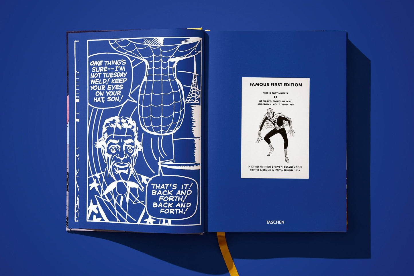 Marvel Comics Library. Spider-Man. Vol. 2. 1965–1966 (English) Book