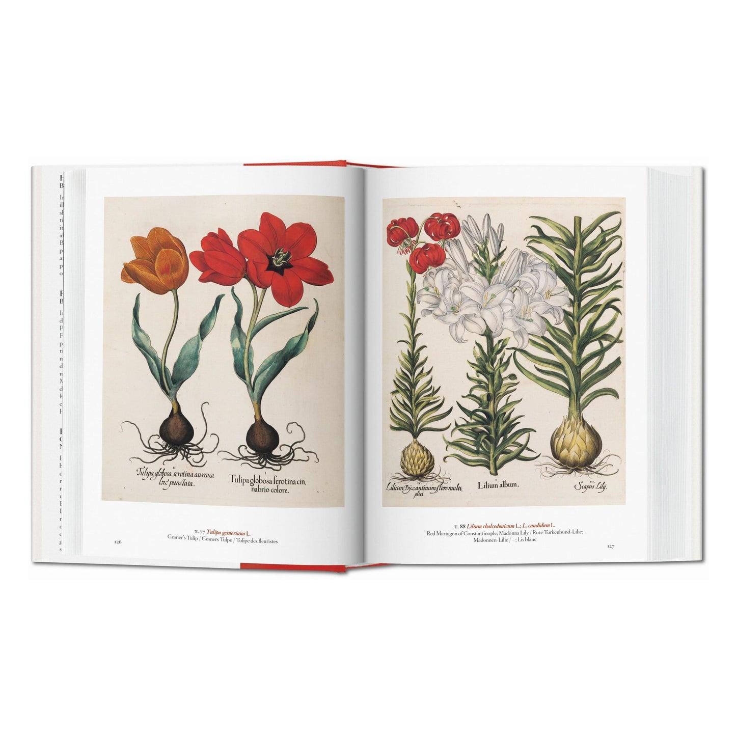 A Garden Eden. Masterpieces of Botanical Illustration. 45th Ed. (German, French, English) Book