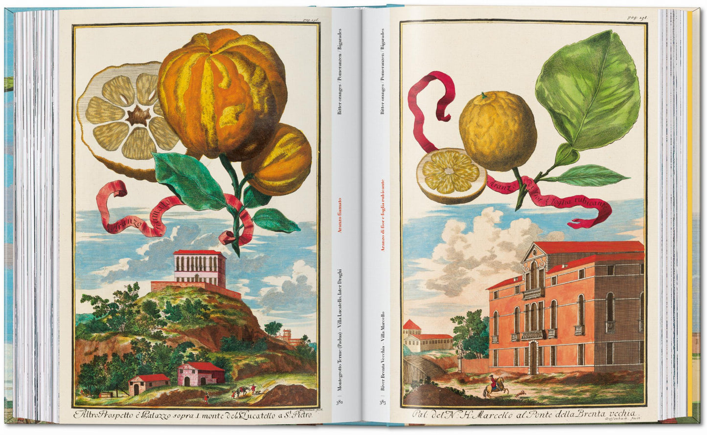 J. C. Volkamer. The Book of Citrus Fruits. 45th Ed. (German, French, English) Book