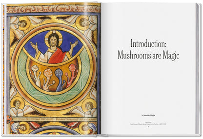 The Gourmand's Mushroom. A Collection of Stories and Recipes (English) Book