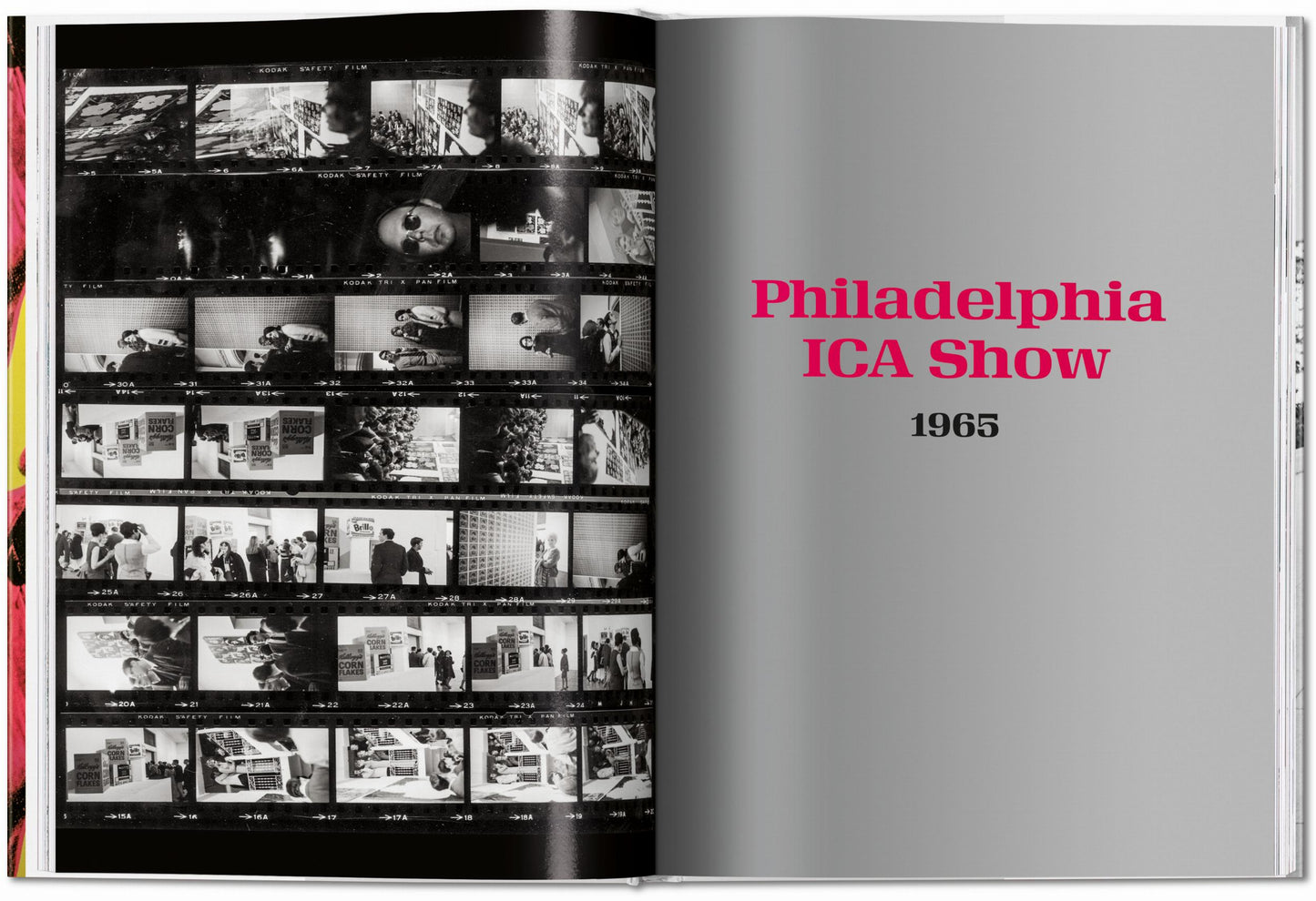 Steve Schapiro. Andy Warhol and Friends (English) Book