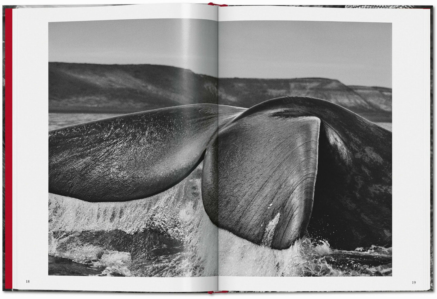 Sebastião Salgado. Genesis (English) Book