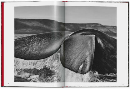 Sebastião Salgado. Genesis (English) Book
