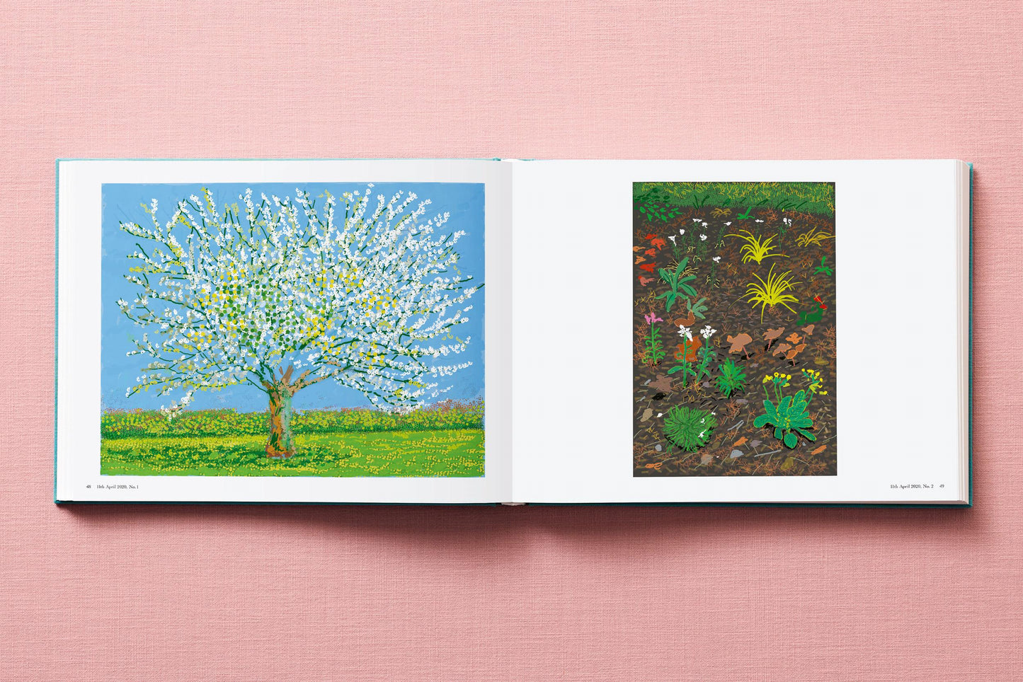 David Hockney. 220 for 2020 (English) Book
