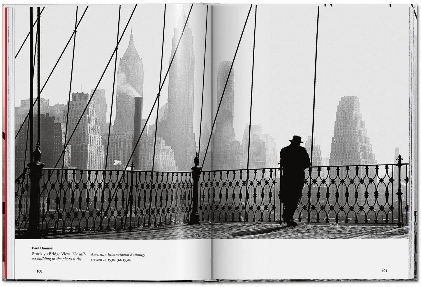 New York. Portrait of a City (English) Book