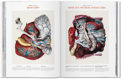 Bourgery. Atlas of Human Anatomy and Surgery (German, French, English) Book