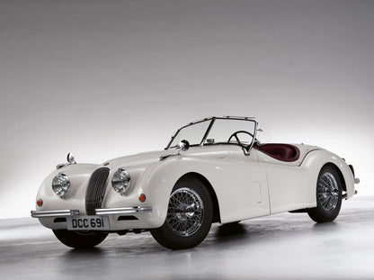 The Jaguar Book ??- Collector's Edition Book