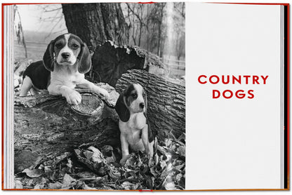 Walter Chandoha. Dogs. Photographs 1941–1991 (English) Book