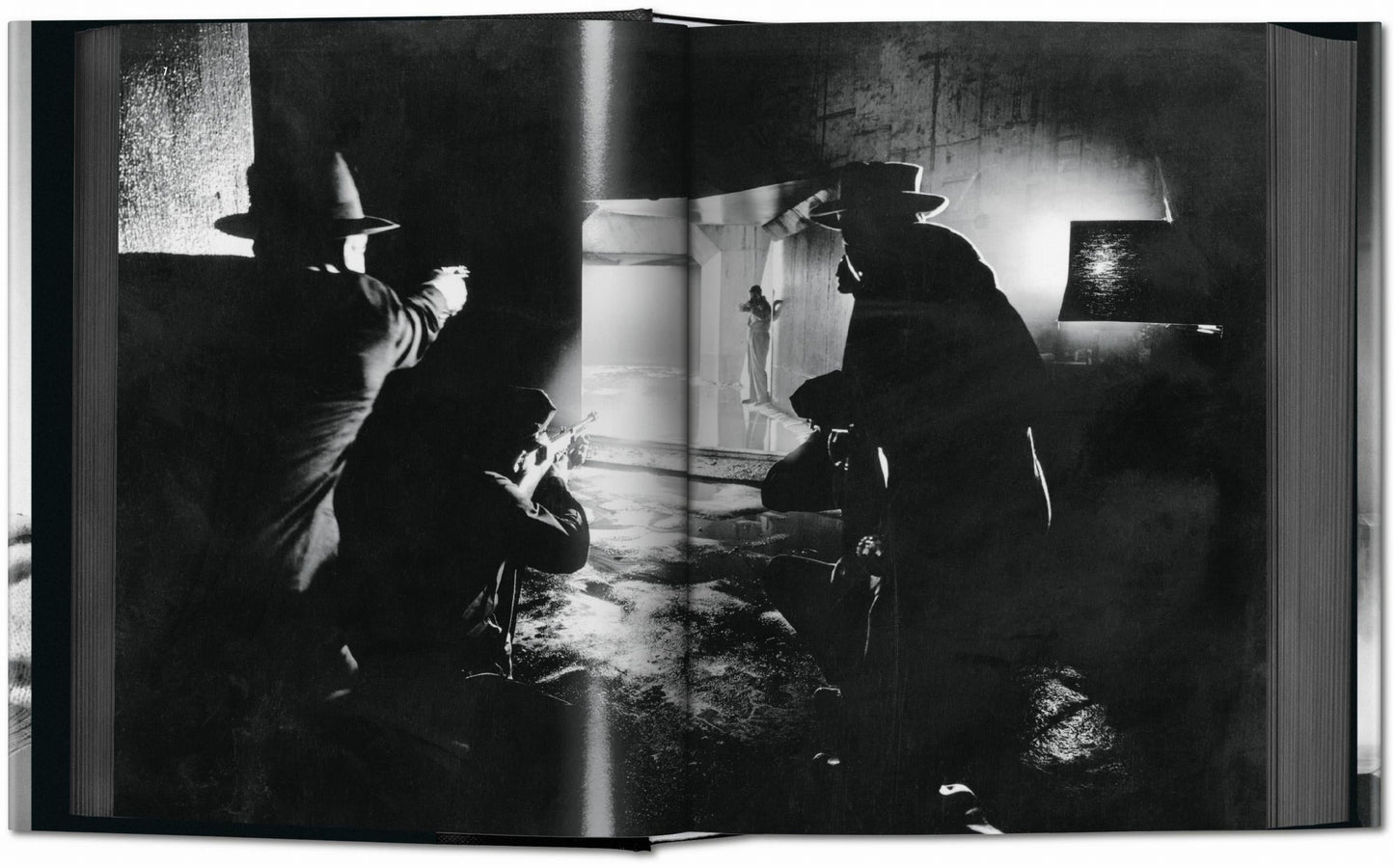Film Noir (English) Book