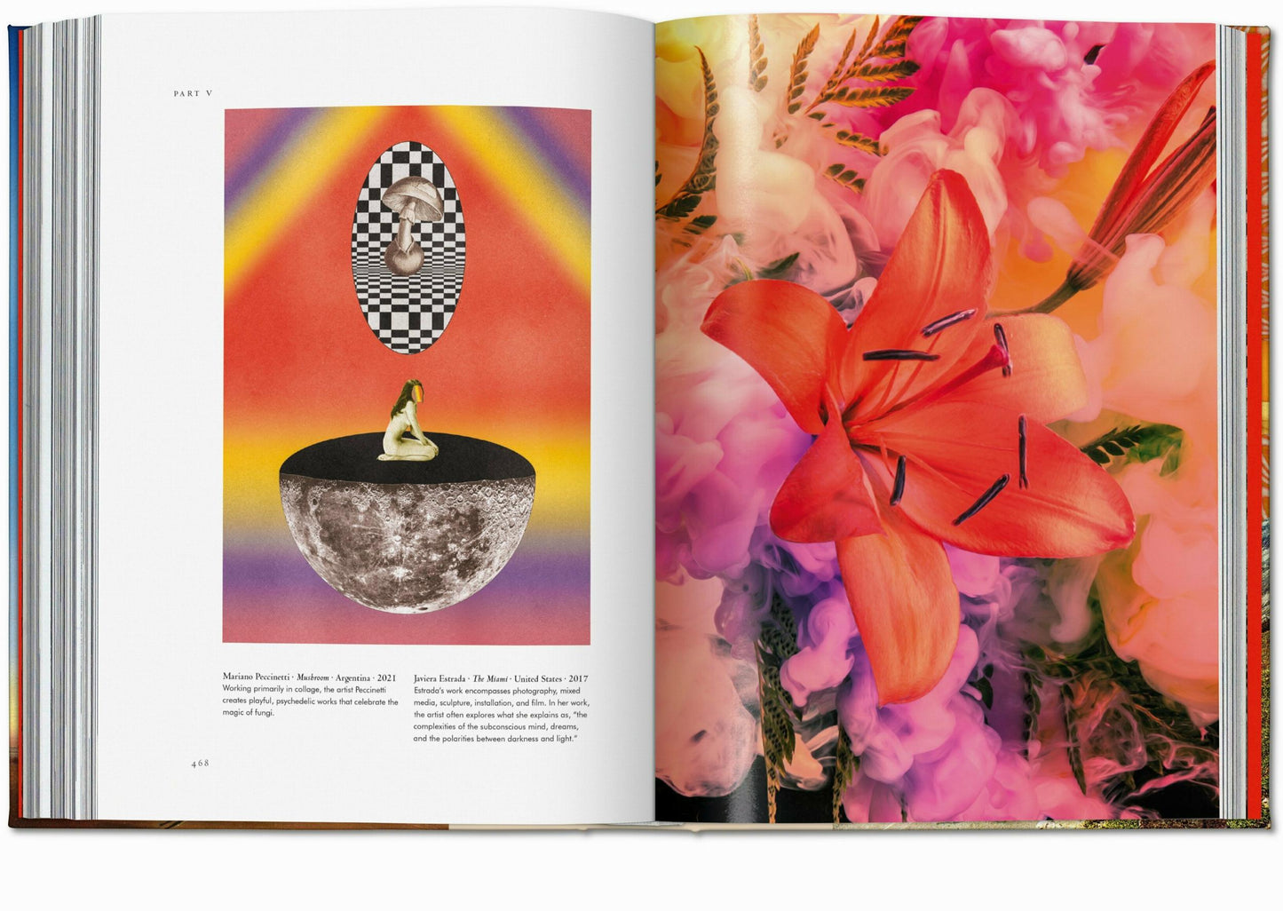Plant Magick. The Library of Esoterica (English) Book