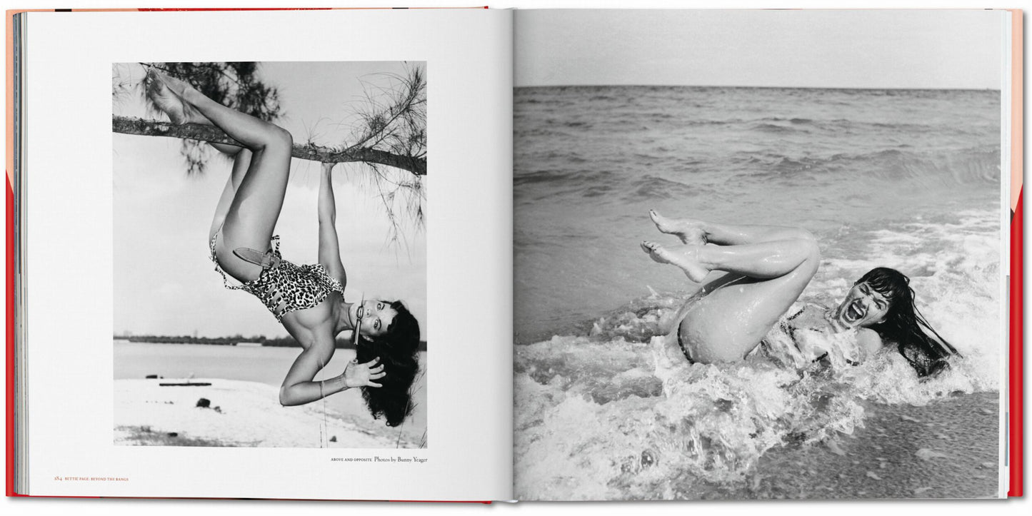 The Big Book of Legs (German, French, English) Book