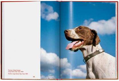 Walter Chandoha. Dogs. Photographs 1941–1991 (English) Book