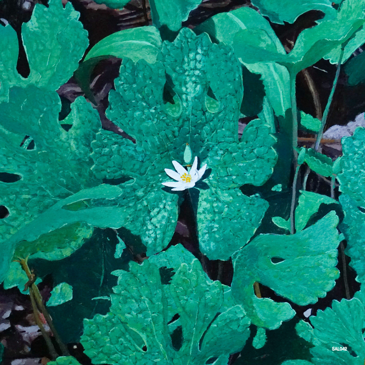 Wetland Interiors Vinyl Record