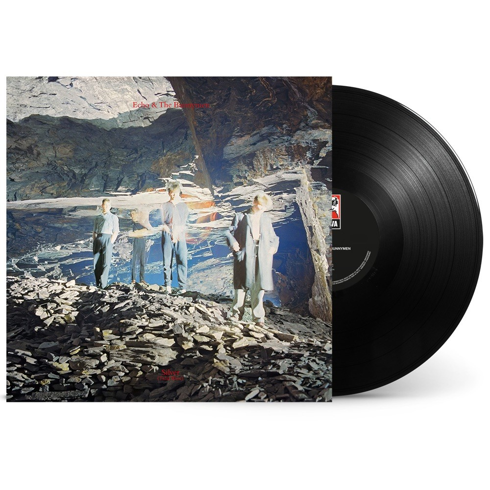 Silver: 40th Anniversary Edition (Black Friday 2024 Exclusive)  Vinyl Record