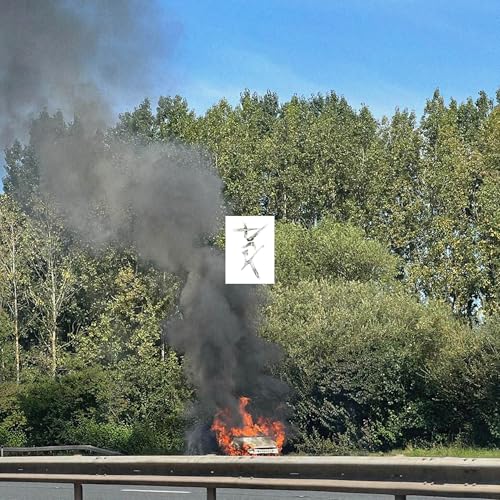 (PRE-ORDER 10/3/25) Dark  Vinyl Record