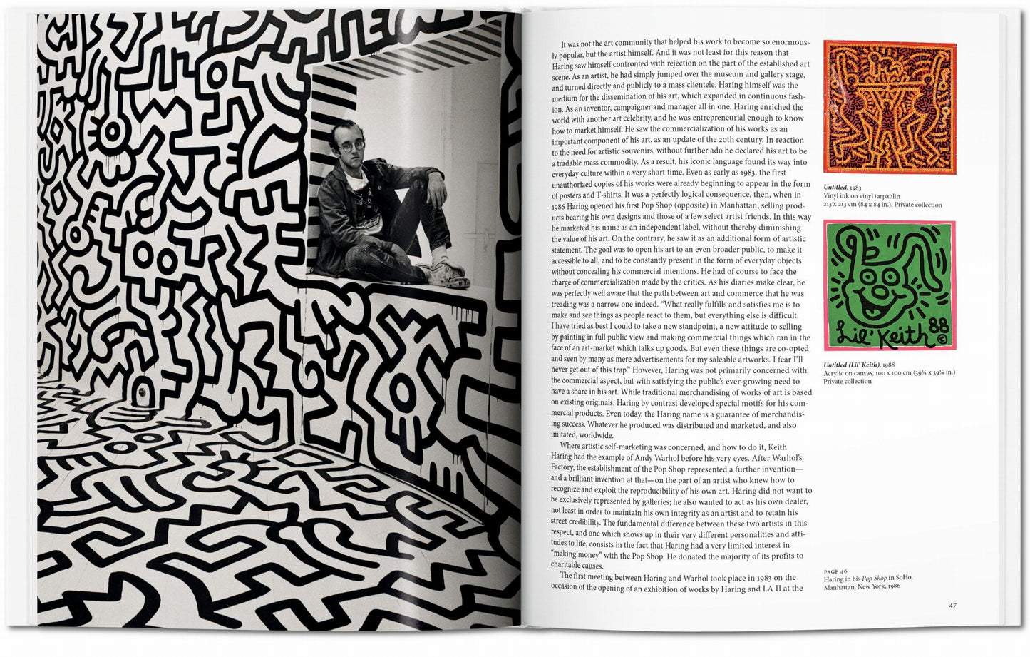 Haring (English) Book