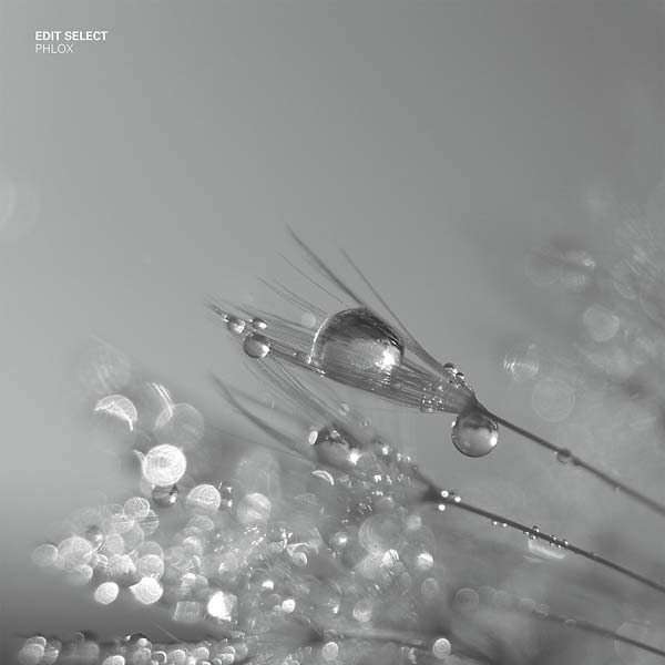EDIT SELECT - Phlox Vinyl Record