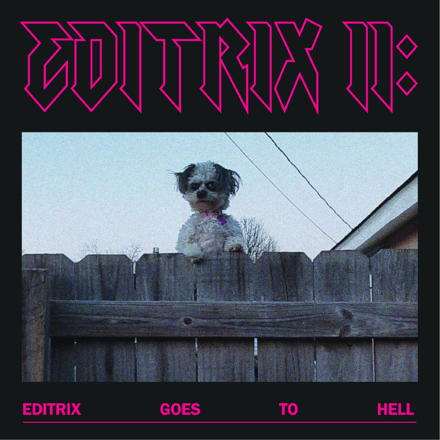 Editrix - Editrix II: Editrix Goes To Hell Vinyl Record