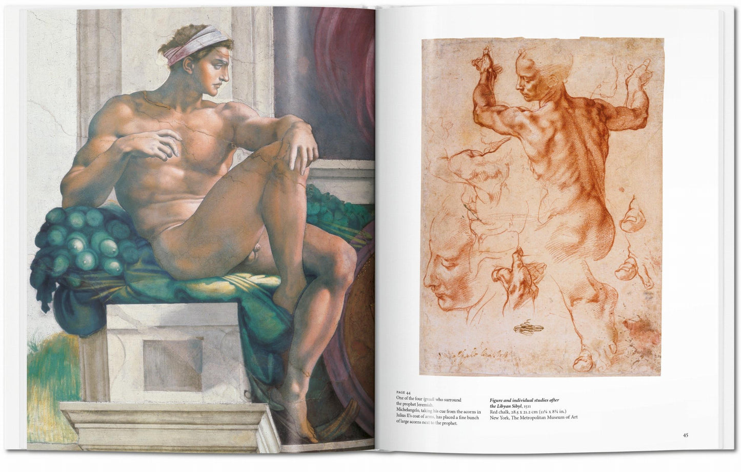 Michelangelo (English) Book