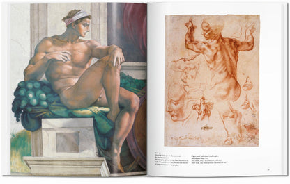 Michelangelo (English) Book