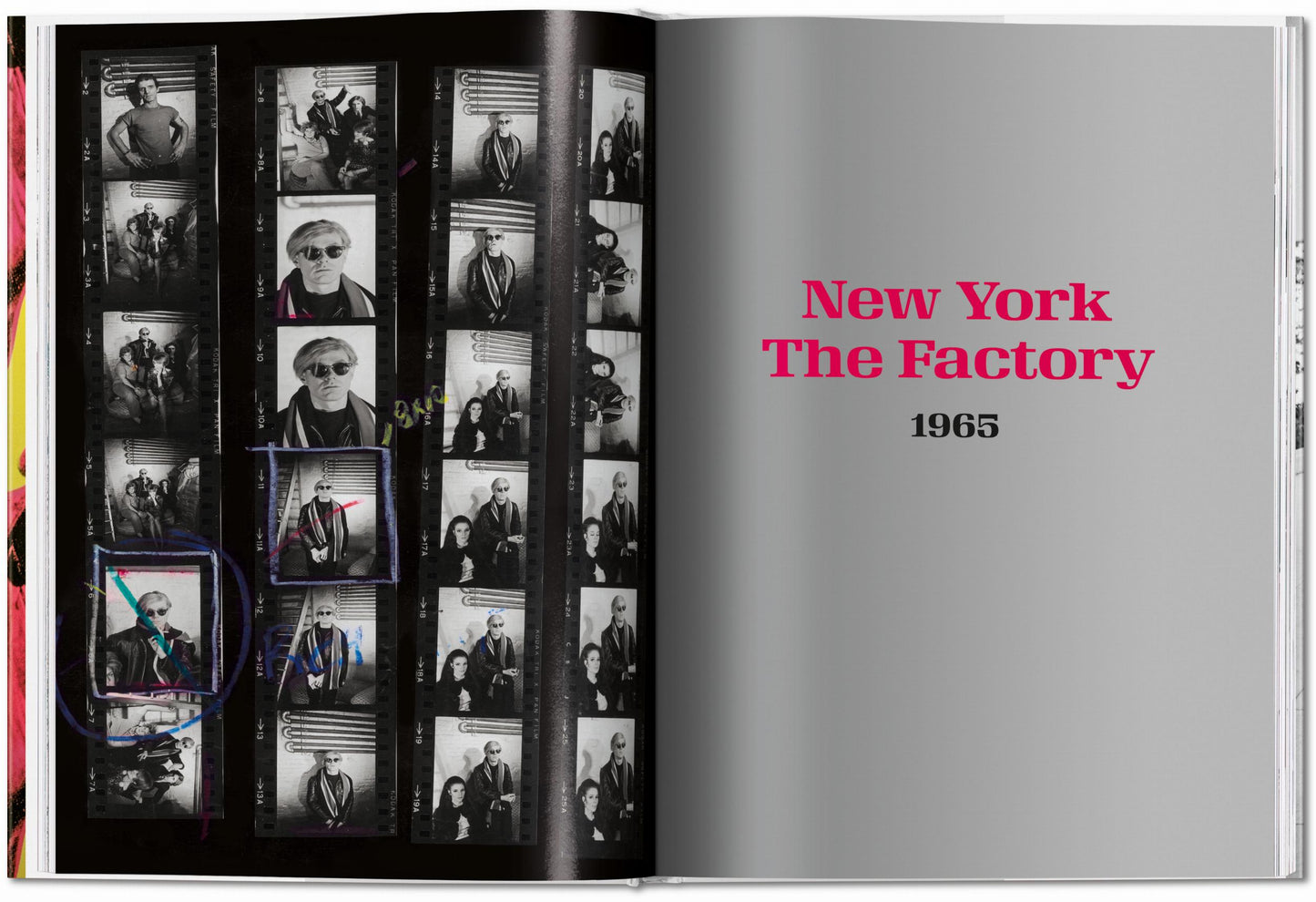 Steve Schapiro. Andy Warhol and Friends (English) Book
