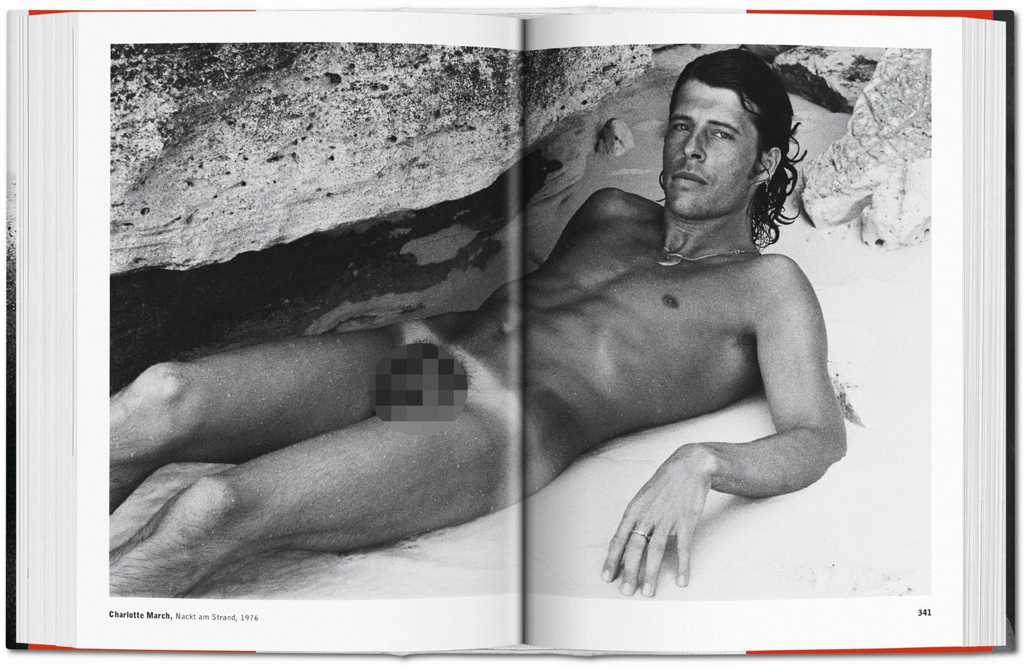 The Male Nude (German, French, English) Book