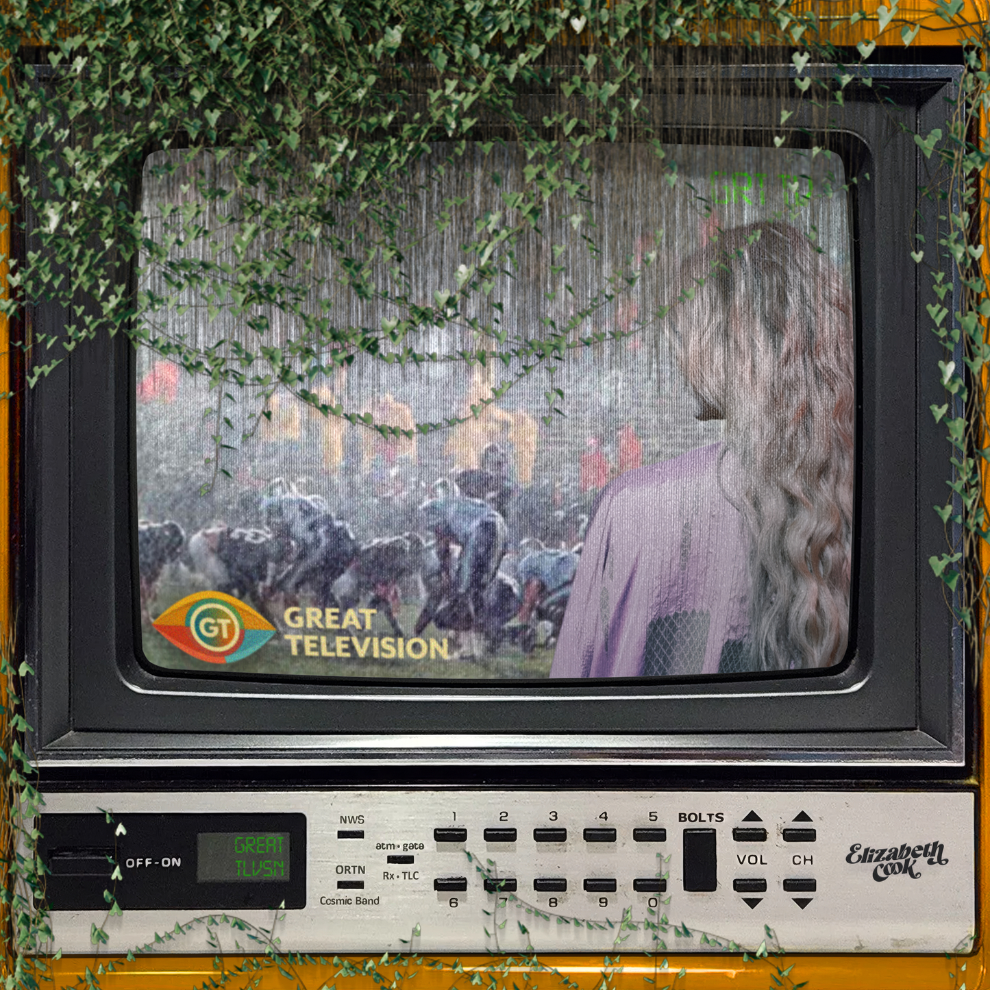 Elizabeth Cook - Great Television [CD] Music CD