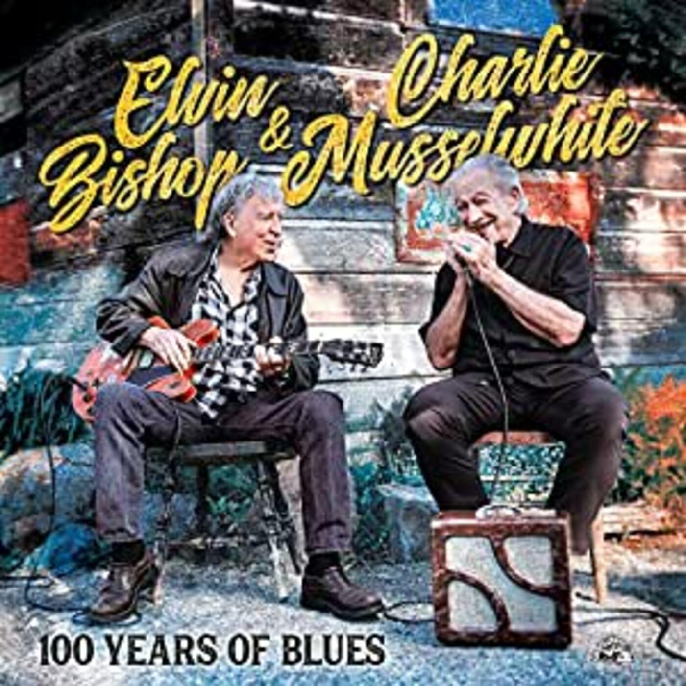100 Years Of Blues Vinyl Record