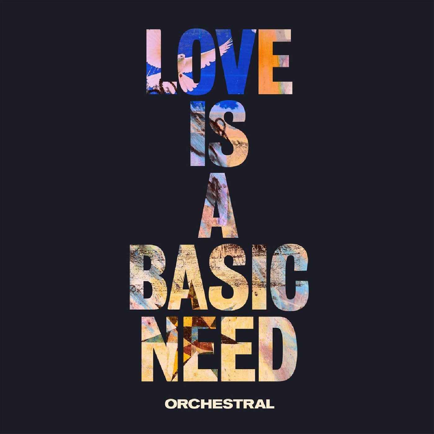 Embrace - Love Is A Basic Need (Orchestral) [Vinyl] Vinyl Record