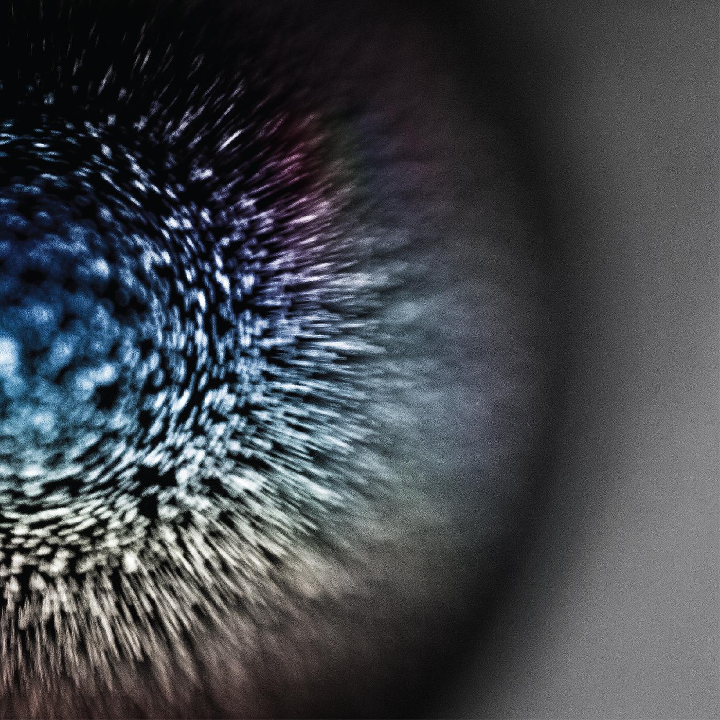 Emptyset - Blossoms [Vinyl] Vinyl Record