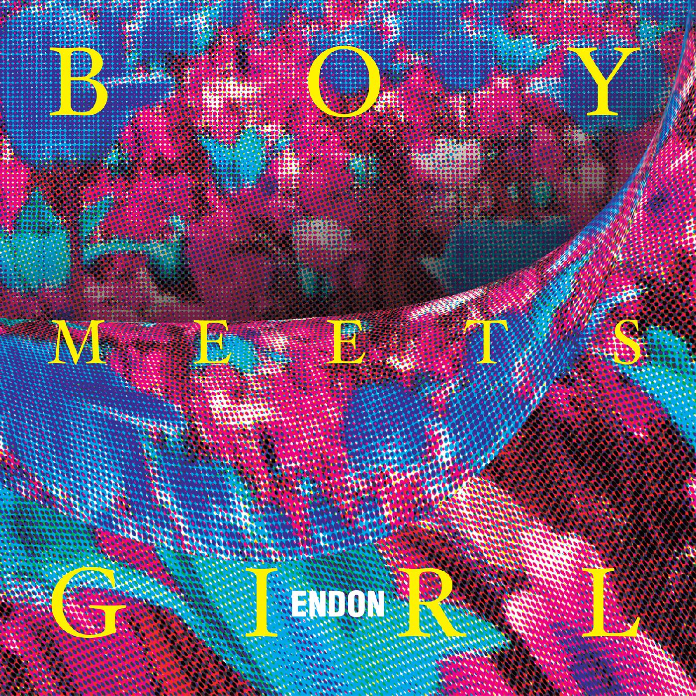 Endon - Boy Meets Girl Vinyl Record