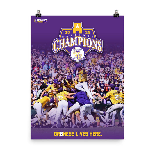 LSU Baseball National Champions Dog Pile Poster