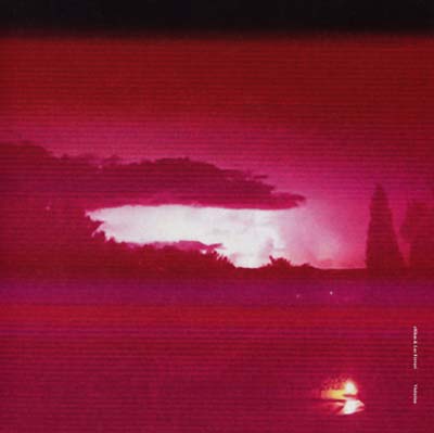 ERIKM & LUC FERRARI - Visitation Vinyl Record
