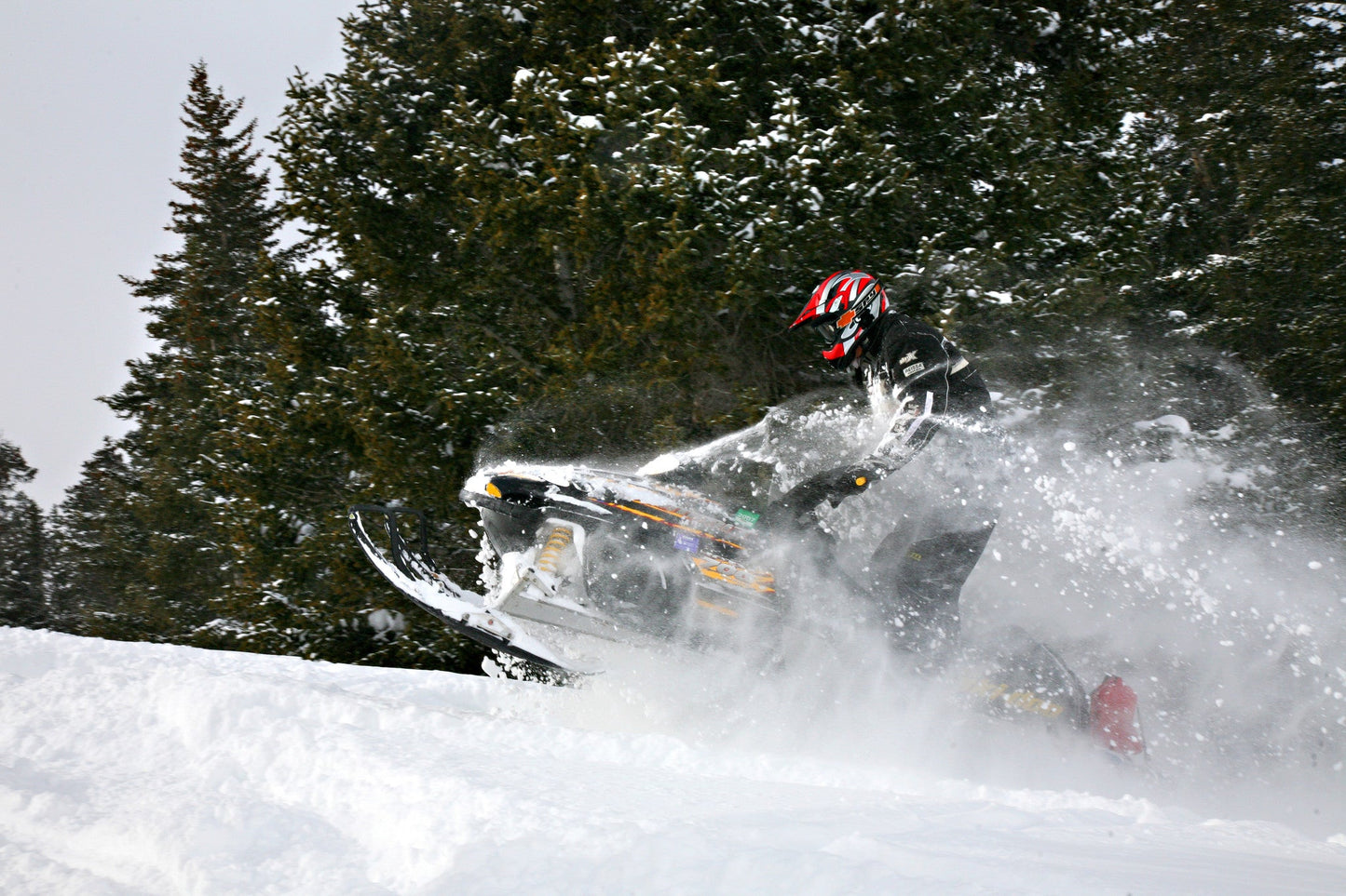 Capture My Colorado: Aspen Book