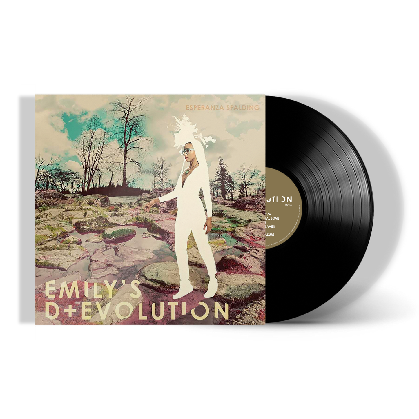 Emily's D + Evolution - Black Vinyl Record