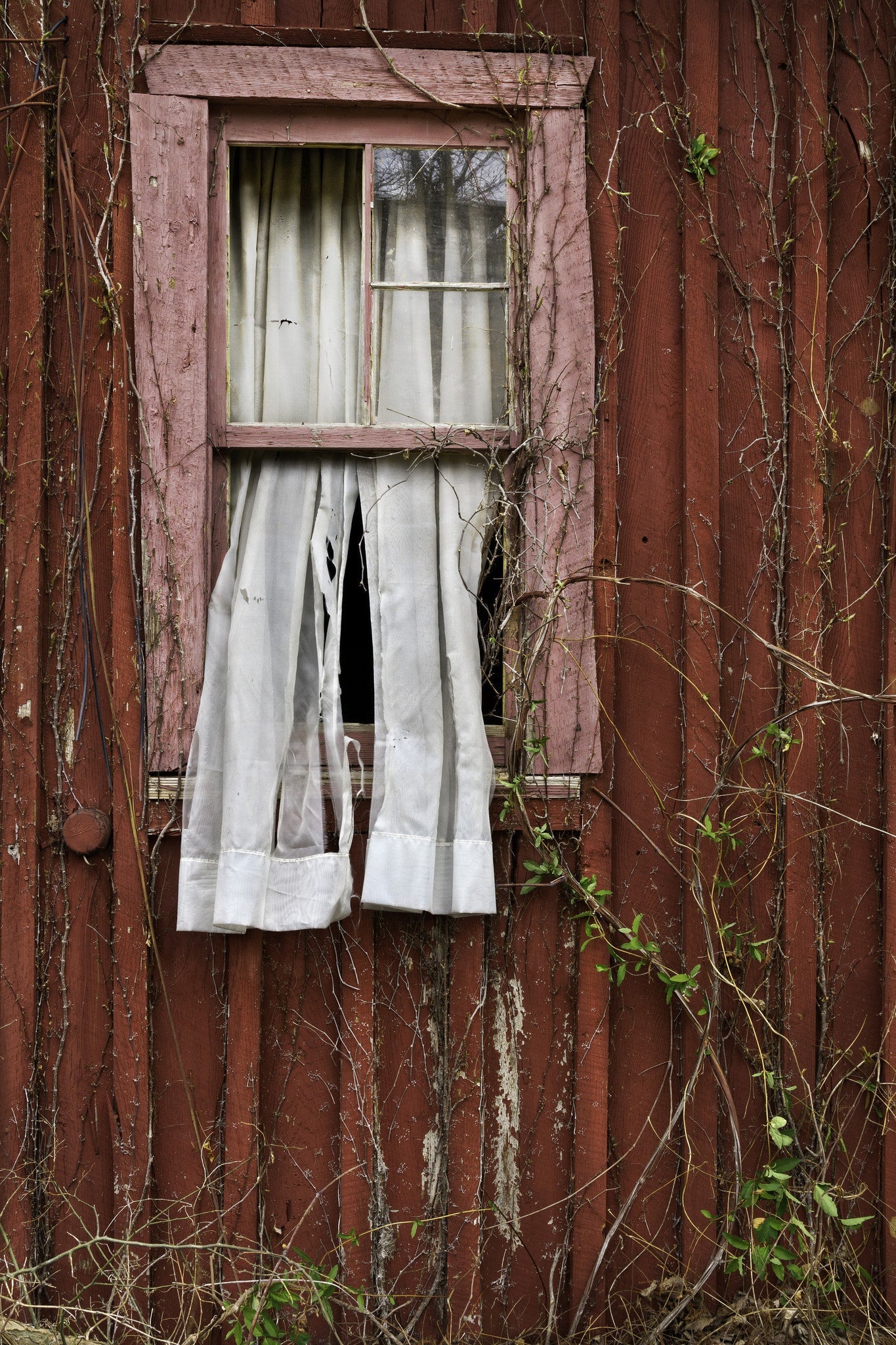 Capture Arkansas IV: The best of Arkansas in Photography Book